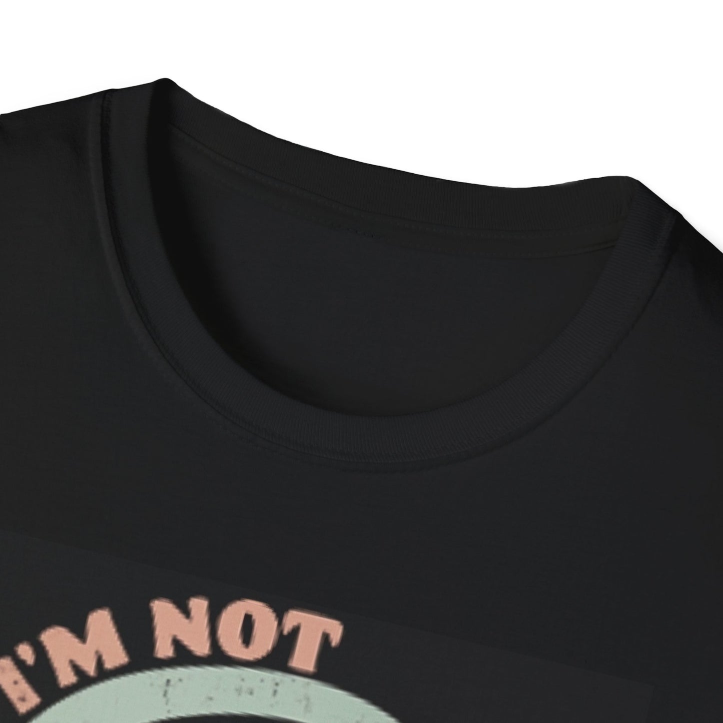 Graphic Tee Shirt - I'm not sugar and spice and everything nice Design